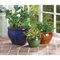 Click to view classifieds REHVWHVN
