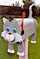 Click to view classifieds JCNEYLYZ