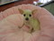 Click to view classifieds LTPWNEVU
