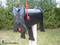 Click to view classifieds BAWNAOSE
