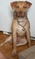 Click to view classifieds QQRTKOFC