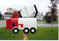 Click to view classifieds LGBEYKFJ