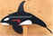Click to view classifieds MRCAQRWH