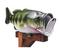 Click to view classifieds DZBSDWLC