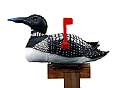loon mailbox
