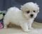 Click to view classifieds UUVGGSBP