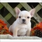 Click to view classifieds HSSPRJOS