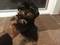 Click to view classifieds OLORRVBY