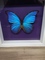 Click to view classifieds DRAQMQQO