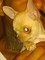 Click to view classifieds JCOJEFAE