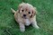 Click to view classifieds OXHKAYCR