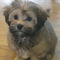 Click to view classifieds UUQYFETZ