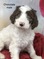 Click to view classifieds JGPOFWYB