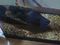 Click to view classifieds SHGTQHAP