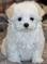 Click to view classifieds XUFNJCKD