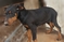 Click to view classifieds CNHLDQXY