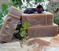 Click to view classifieds QSUPUOZA