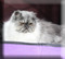 Click to view classifieds TNYANFOG