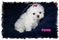 Click to view classifieds KBGKHRBZ