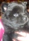 Click to view classifieds FHEJNRMF