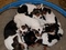 Click to view classifieds VRHWSNWW