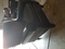 Click to view classifieds NJMCOJKQ