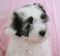 Click to view classifieds GUGEZOVP
