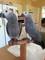 Click to view classifieds PQHZLJQY