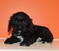 Click to view classifieds JTNNQBNC