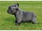 Click to view classifieds YEQCSWMF