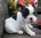 Click to view classifieds RAFMGVQT