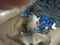 Click to view classifieds JAHMWBGF