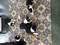 Click to view classifieds LOVVRNXG