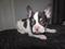 Click to view classifieds LJTCWTQW