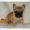 Click to view classifieds BVZUWGCV