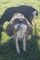Click to view classifieds QQTBBFXA