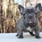 Click to view classifieds GAGQNFNU