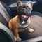 Click to view classifieds RNFWXTOS