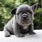 Click to view classifieds VJGZCNRW