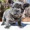 Click to view classifieds KBMLATQD