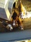Click to view classifieds CDWBHWNP