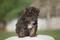 Click to enlarge image