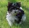 Click to view classifieds DABBLBGB