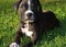Click to view classifieds MTJQNSPL