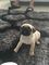Click to view classifieds XQHUZSFL