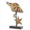 Click to view classifieds QAFPSMGH