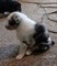 Click to view classifieds ZURDGDZW