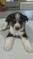 Click to view classifieds TZORZRZV