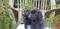 Click to view classifieds EZRBNFXR