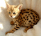Click to view classifieds LWBWGCWR